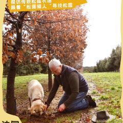 Les Canailles張用戶圖片