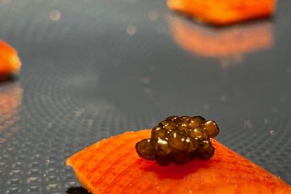 四季小馆(锦绣路店)