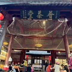 石屏会馆老普洱菜 User Photo