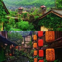 天镜池 User Photo