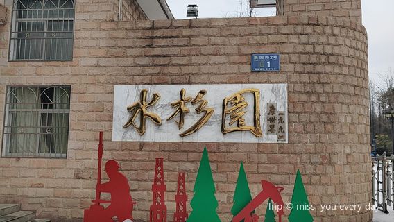 Metasequoia Glyptostroboides Park