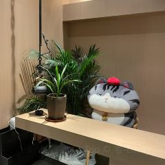 一品荷塘 User Photo