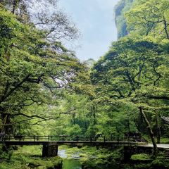 LAO JIE LAO CHU User Photo