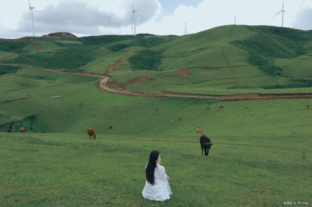 Nanguo Grassland