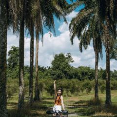 Dai Tao Lala Pot User Photo