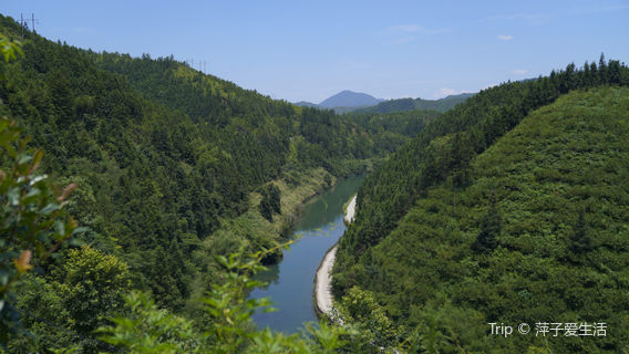Thượng Do