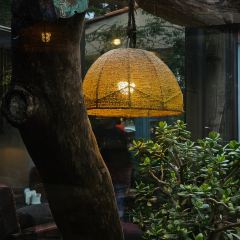 Mala's Garden User Photo