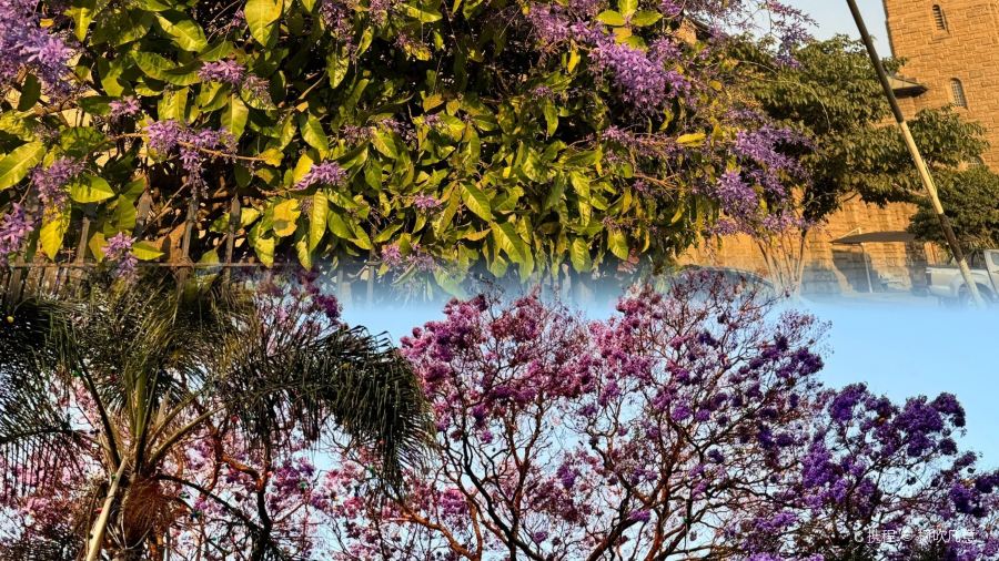 Taj Cafe and Restaurant-The Taste of India