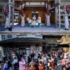 炎黃茶館張用戶圖片