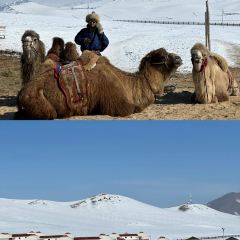 Modern Nomads User Photo