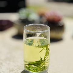 华源山庄 User Photo
