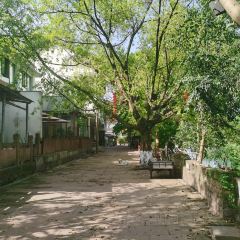 六六饭店(明月南街店) User Photo