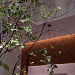 Shan Hai Nan Yan User Photo