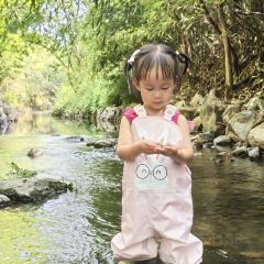 天水源农庄(天目湖店) User Photo