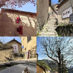 TAIHURENJIA·SUZHECAI User Photo