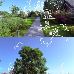 云孚里云宿.西湖云岛·餐厅 User Photo