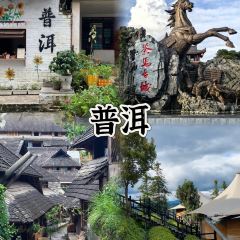 GOLD HOMELAND 여행 사진
