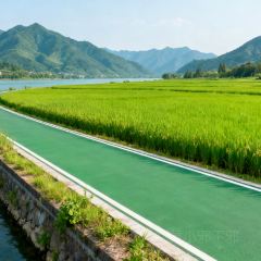 PAN PO FAN DIAN User Photo