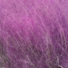 杜家土菜馆(长兴店) User Photo