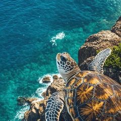 A XI HAI XIAN XIAO CHAO User Photo