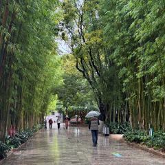 CHEN NIANG NIANG User Photo