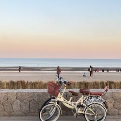 Bar Lotus User Photo