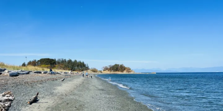 Nori Japanese Restaurant