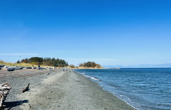 Nori Japanese Restaurant