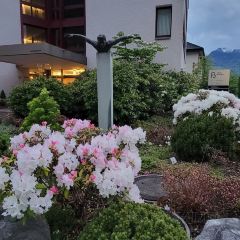 Restaurant Adler張用戶圖片