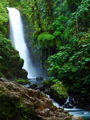 Giardini delle Cascate di La Paz