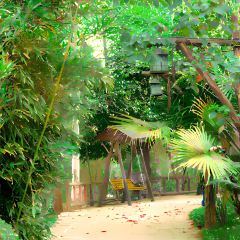 DONG PO SHAN ZHUANG TIAN YUAN SHENG TAI HUO GUO User Photo