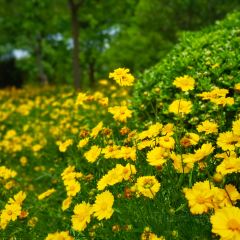 小八仙·精品川菜(源著店) User Photo