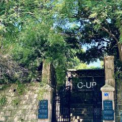 C-UP User Photo