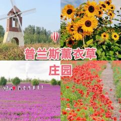 大芊金串串火锅( 新世界百货店) User Photo