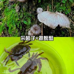 柒月麓山 여행 사진