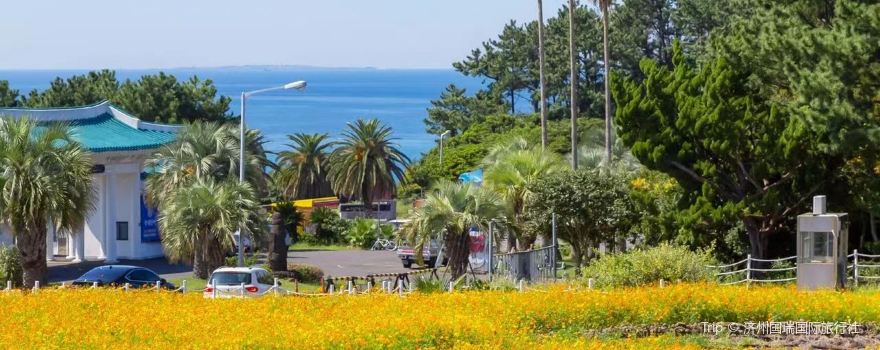 中文旅遊觀光區