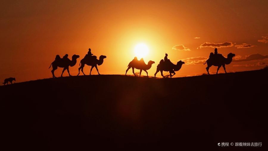 贝勒塔拉·手把肉·蒙餐(和平路店)