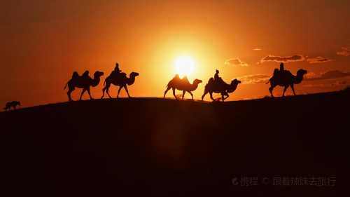 bei le ta la · shou ba rou · meng can ( he ping lu dian )