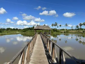 Casa del Veguero