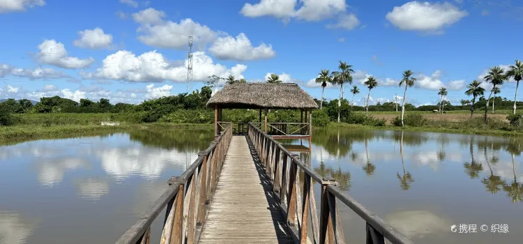 Casa del Veguero