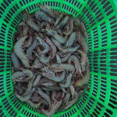 和顺饭店 User Photo