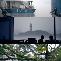 罗兰烧饼 User Photo