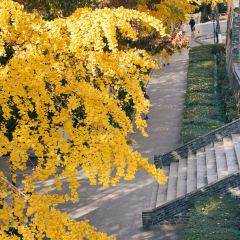 麥當勞（常州西瀛裡店）張用戶圖片