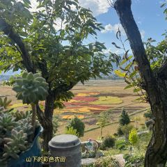 半山咖啡張用戶圖片
