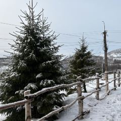 Tzarskaya Okhota User Photo