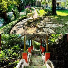 English Tea House & Restaurant 여행 사진