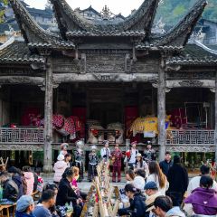 炎黃茶館張用戶圖片