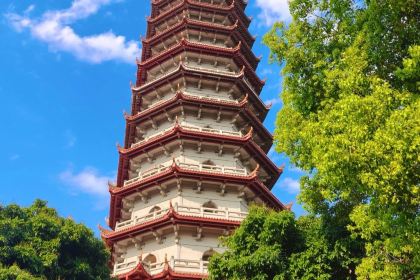 达道牛肉(南门店)