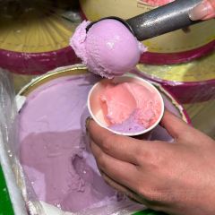 遵义爱情小豆腐(石坪桥店) User Photo