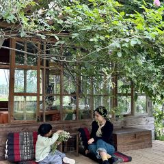 花園主義（九里拾院店）張用戶圖片